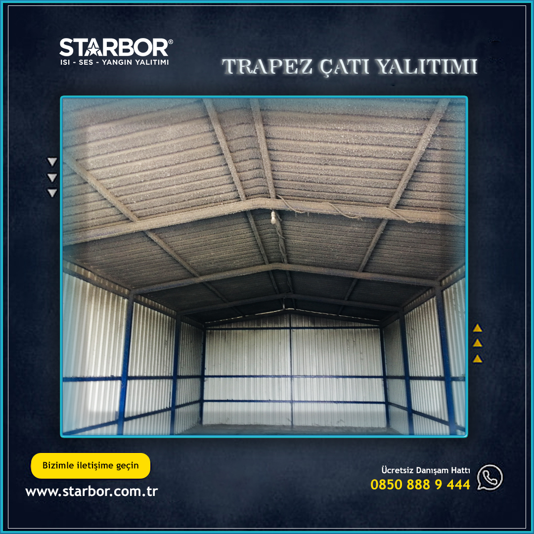 Starbor 8
